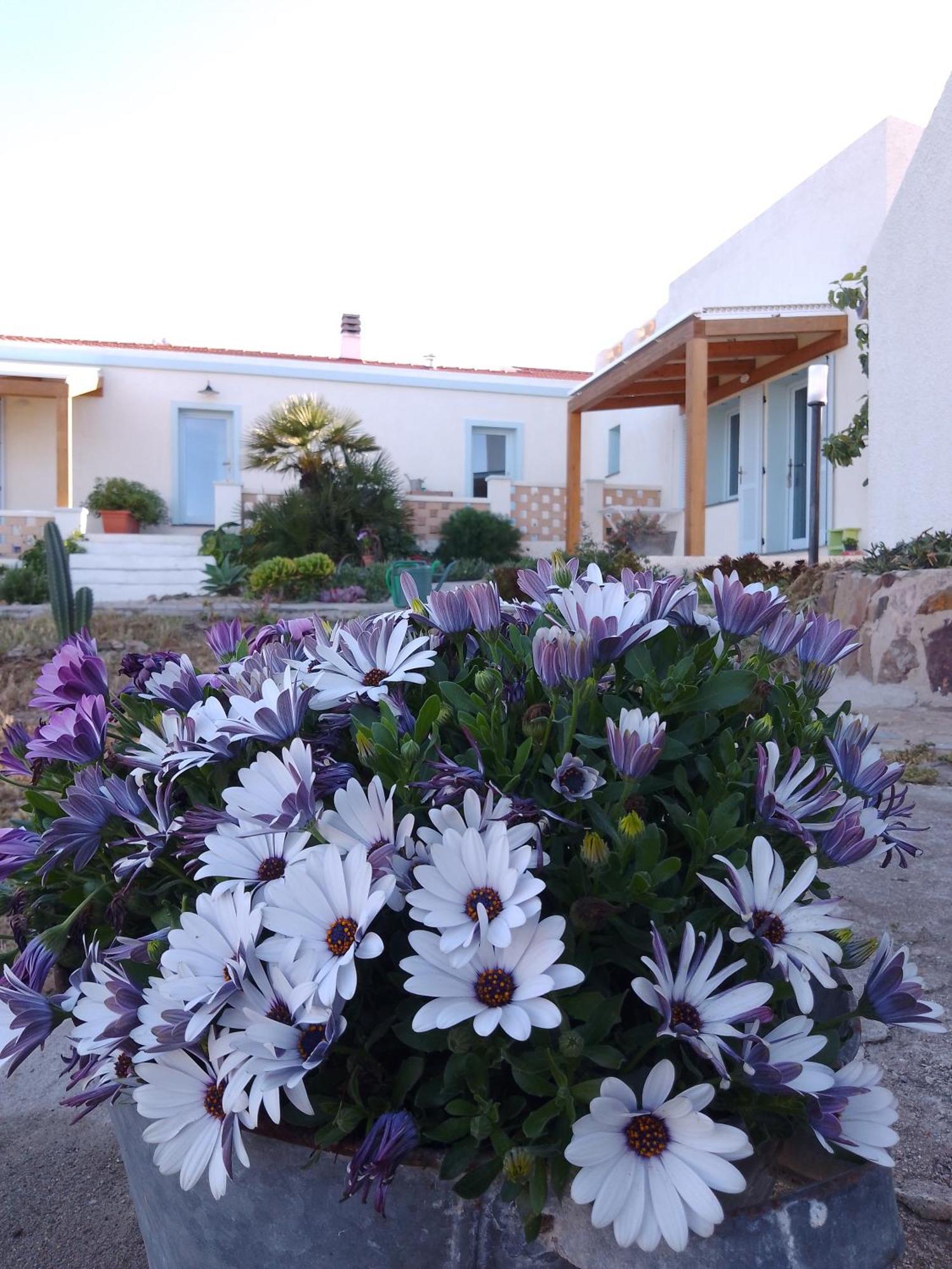 Lispusada Agriturismo Adults Only Biancareddu Exterior photo